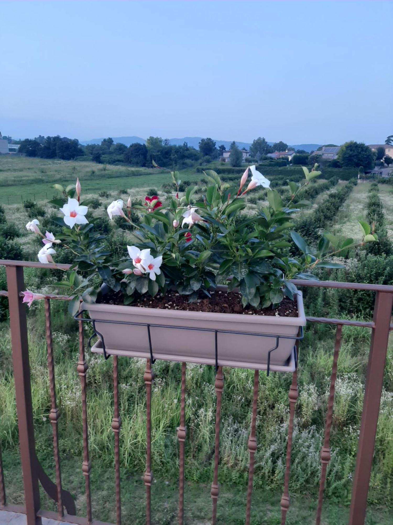 Bed And Breakfast Ca Tognella Pescantina Exteriér fotografie